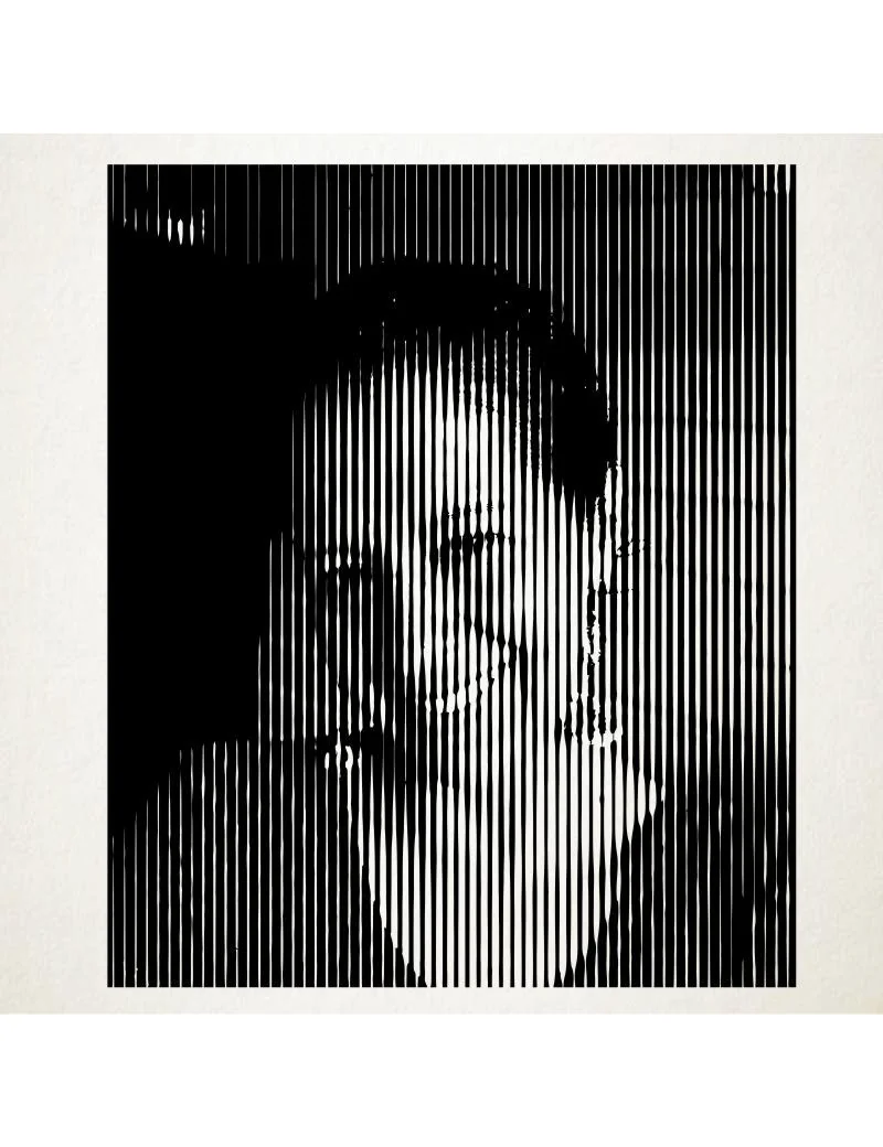 Los retratos en vinilo son una novedosa manera de decorar. Retrato en Vinilo Adhesivo de alta calidad