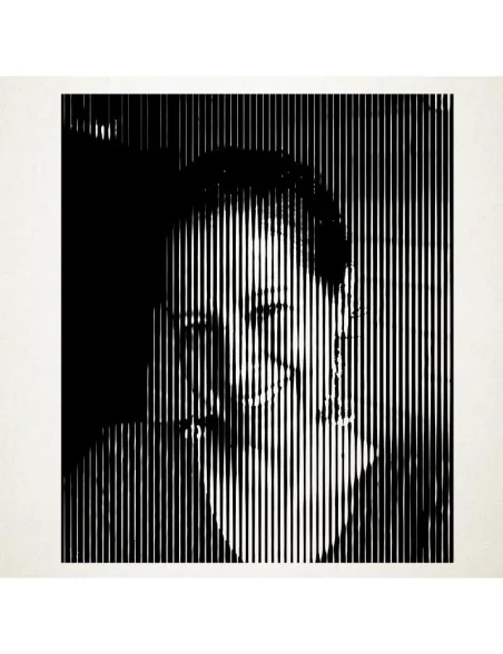 Los retratos en vinilo son una novedosa manera de decorar. Retrato en Vinilo Adhesivo de alta calidad