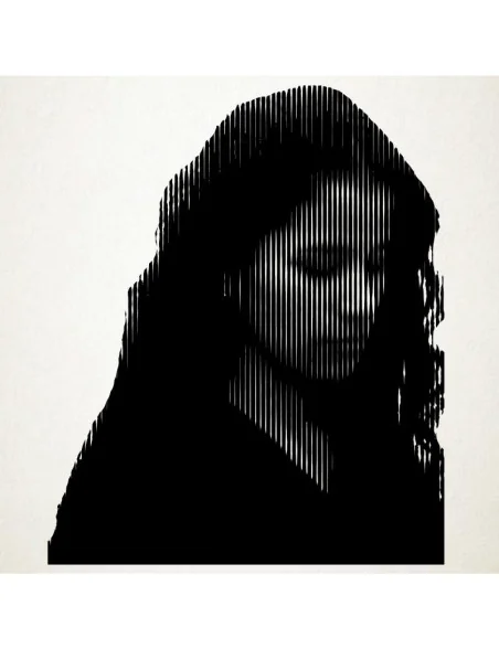 Retratos en vinilo adhesivo totalmente personalizables. Un regalo unico. Desde 30000$